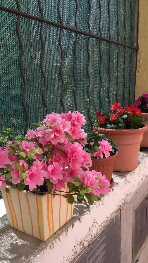 B&B Le Campanelle ランチャーノ エクステリア 写真